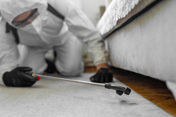 Professional Cockroach Control technician working in Aurora, IN