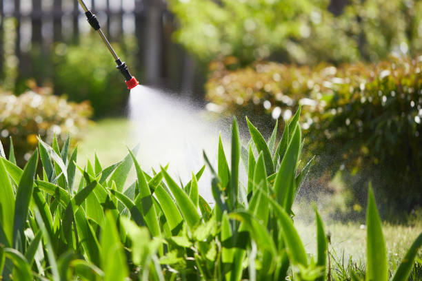 24/7 Emergency Cockroach Control experts in Aurora, IN