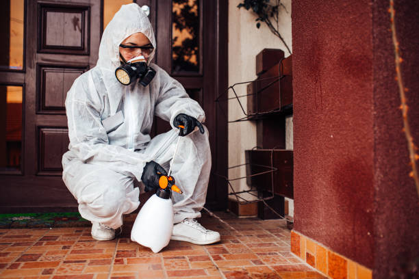 Reliable Cockroach Control contractor in Aurora, IN by Nex Pest Control